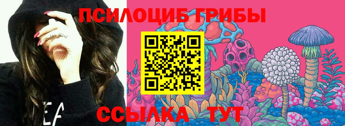 Псилоцибиновые грибы GOLDEN TEACHER Лосино-Петровский