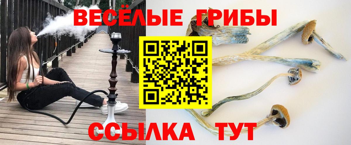 Лосино-Петровский  Псилоцибиновые грибы Psilocybine cubensis  Вход с VPN 